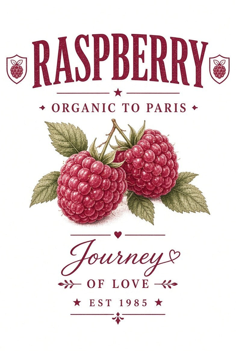 4pcs 10in Raspberry Organic Paris Vintage Fruit DTF Transfer