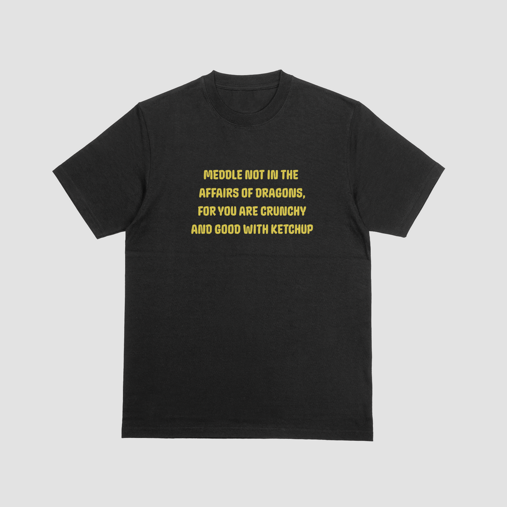 Do Not Meddle Dragons Shirt Fantasy Humor Geek T-Shirt