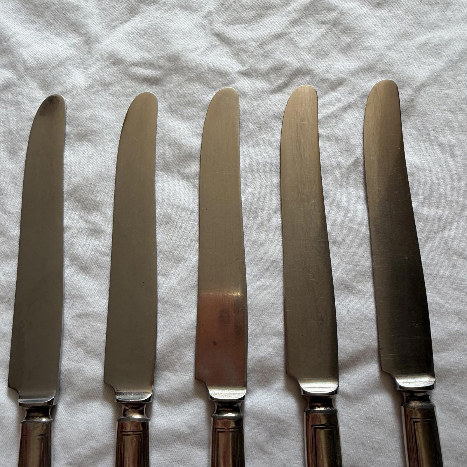 Vintage Wm. Rogers & Son Princess Lady Doris Set of 5 Dinner Knife 9”