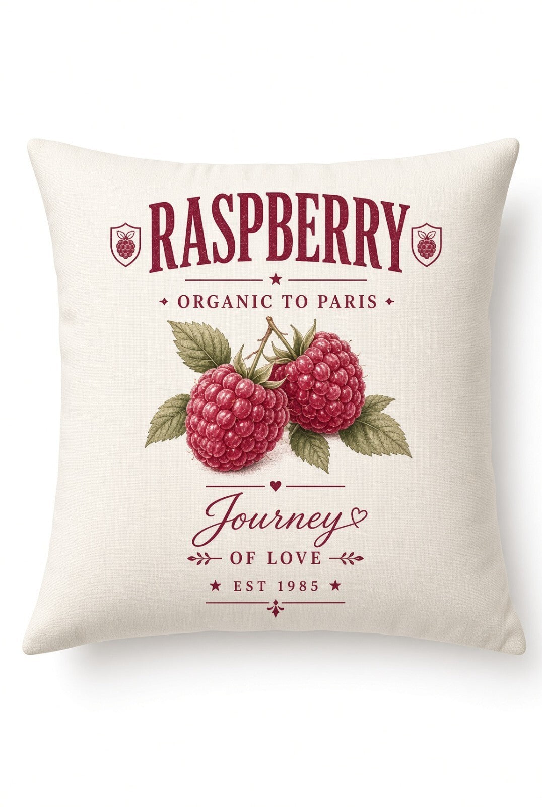4pcs 10in Raspberry Organic Paris Vintage Fruit DTF Transfer