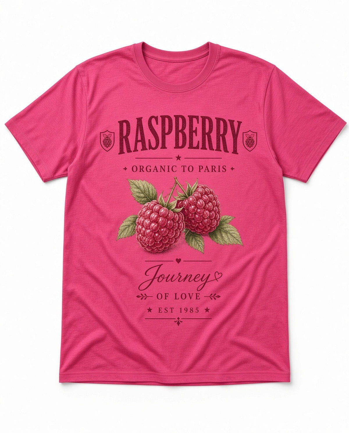 4pcs 10in Raspberry Organic Paris Vintage Fruit DTF Transfer