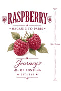 4pcs 10in Raspberry Organic Paris Vintage Fruit DTF Transfer
