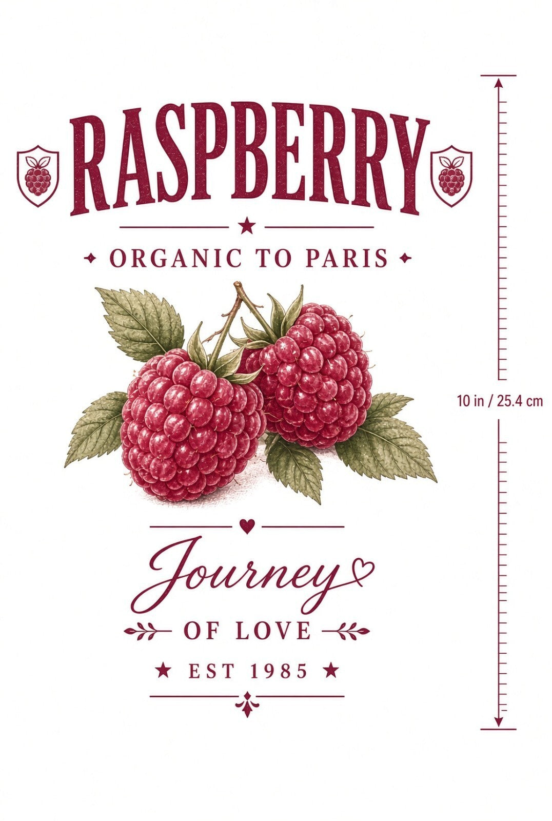 4pcs 10in Raspberry Organic Paris Vintage Fruit DTF Transfer