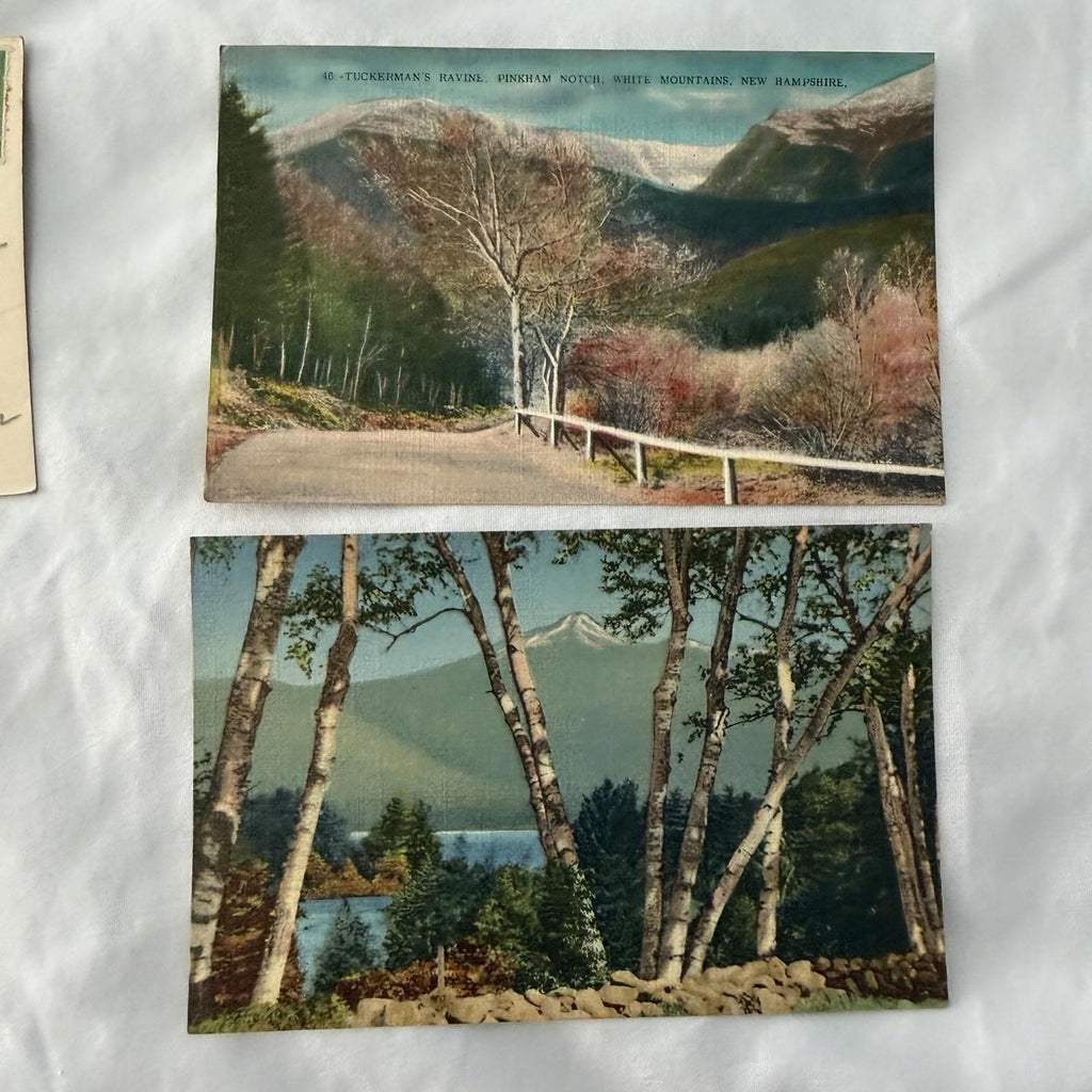 Vintage Postcards Lot 20 - Adirondack Mountains, White Mountains, Lakes, NV