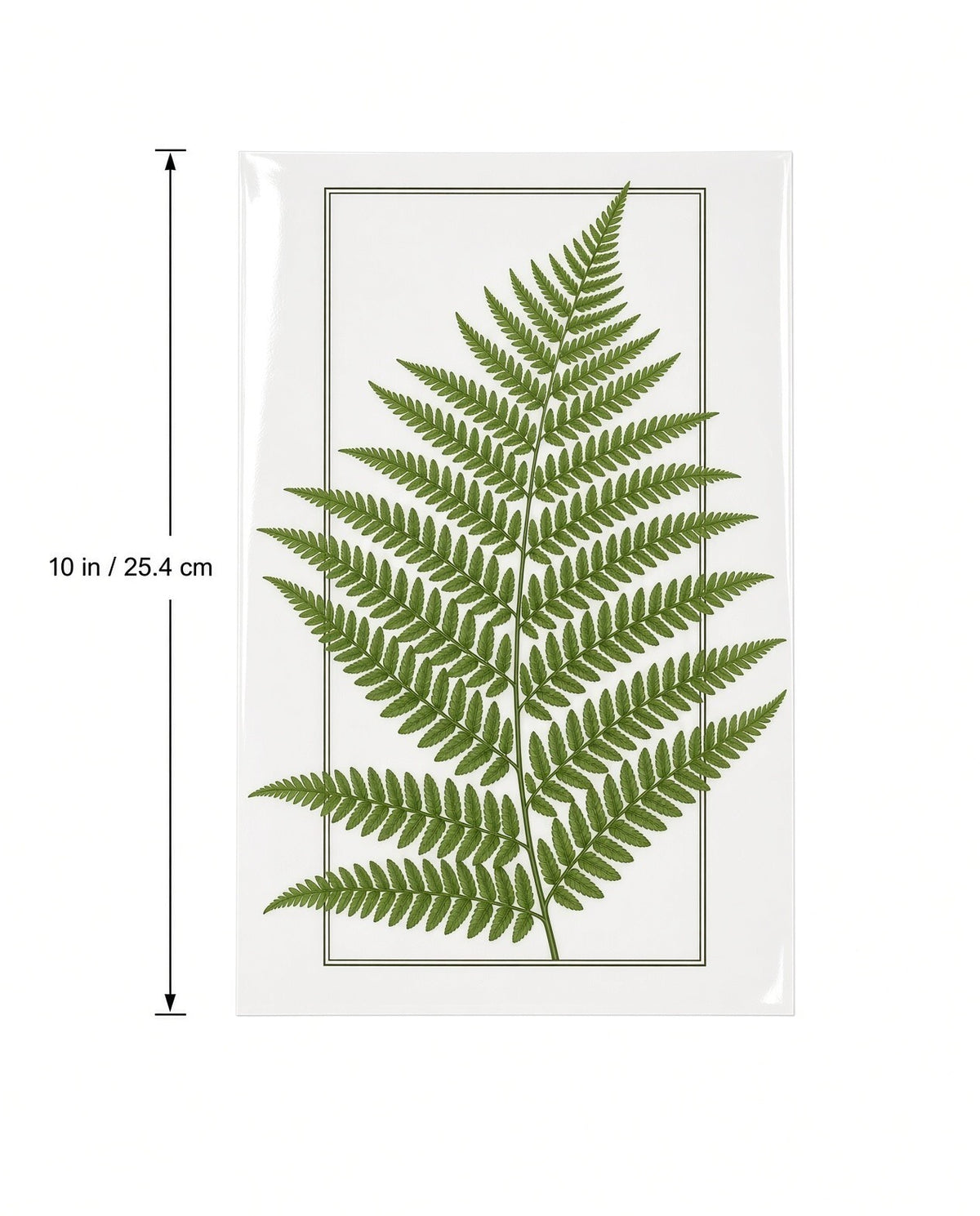 4Pcs 10" Fern Leaf Botanical DTF Transfer Heat Press Iron On Decal