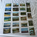 Vintage Postcards Lot - San Francisco, Zion, Redwoods, Castles & Beaches