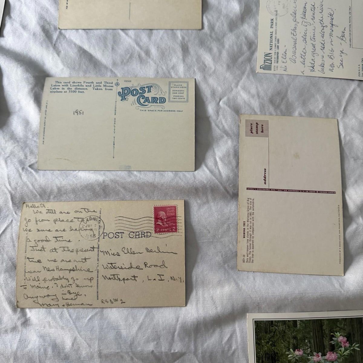 Vintage Postcards Lot - San Francisco, Zion, Redwoods, Castles & Beaches