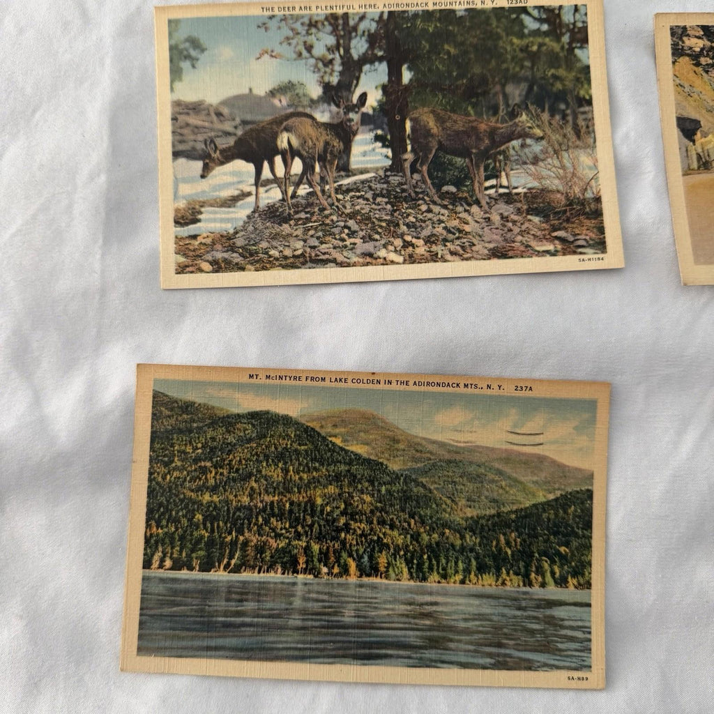 Vintage Postcards Lot 20 - Adirondack Mountains, White Mountains, Lakes, NV