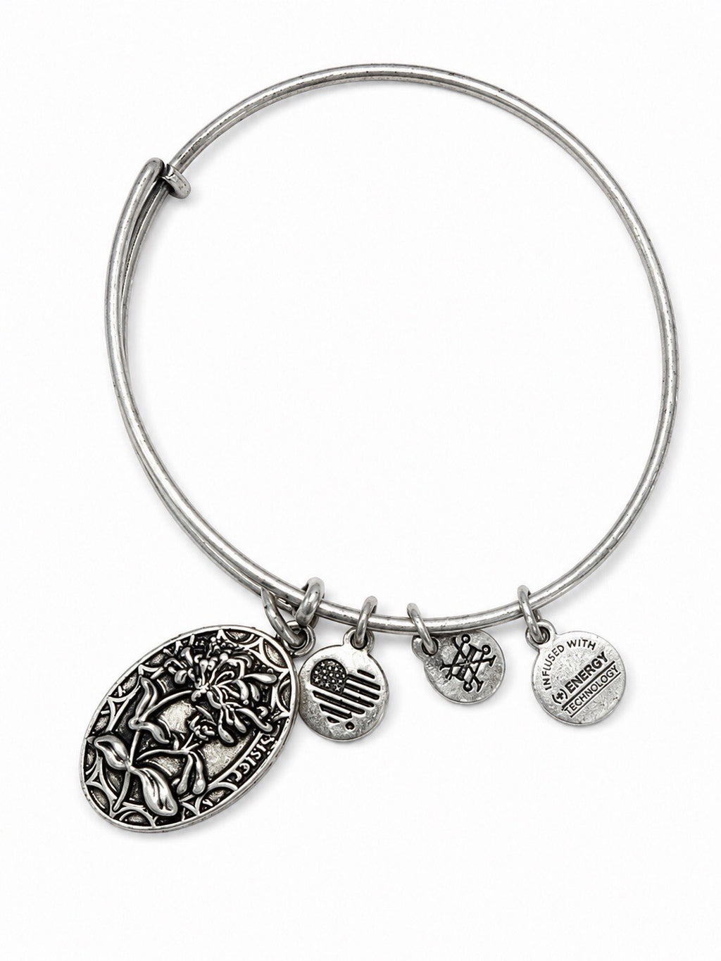 Alex and Ani Sister Charm Expandable Bangle Bracelet Silver Tone Friendship Gift