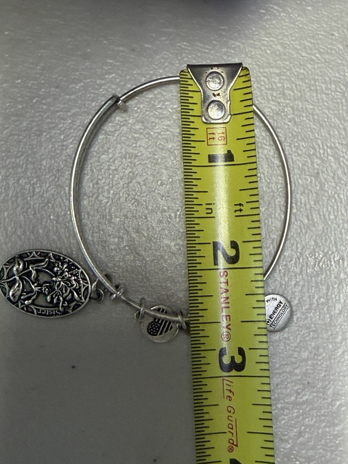 Alex and Ani Sister Charm Expandable Bangle Bracelet Silver Tone Friendship Gift