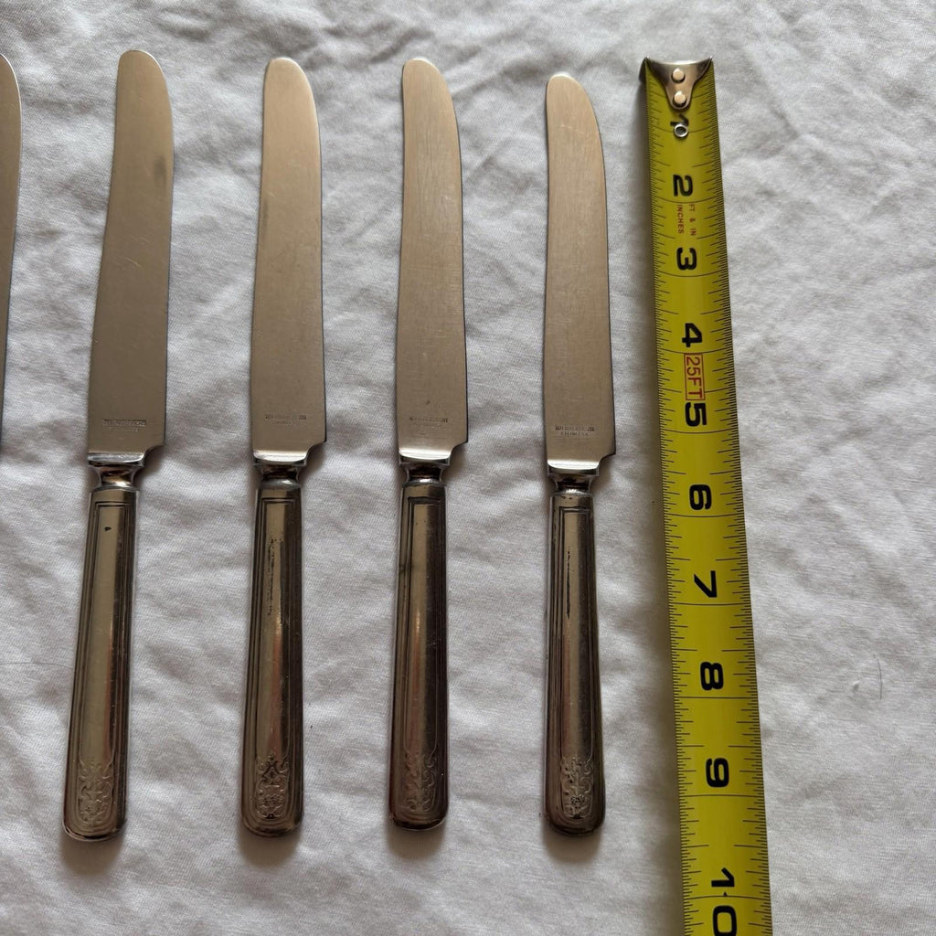 Vintage Wm. Rogers & Son Princess Lady Doris Set of 5 Dinner Knife 9”
