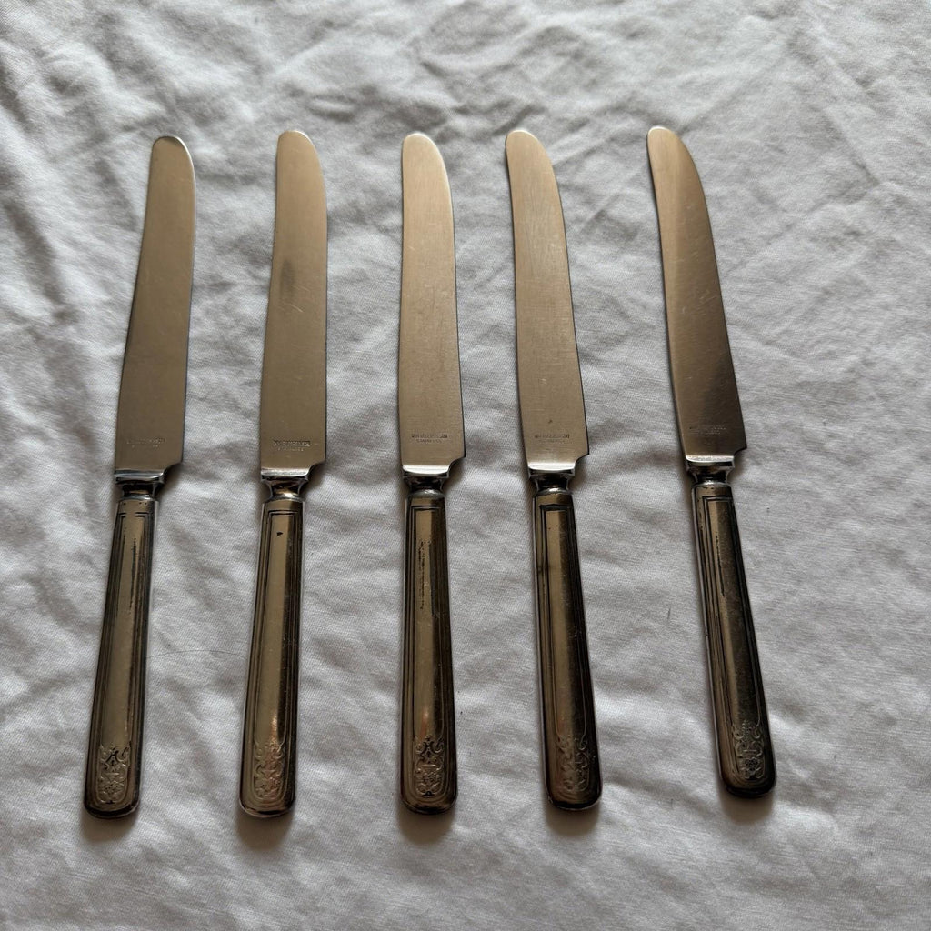 Vintage Wm. Rogers & Son Princess Lady Doris Set of 5 Dinner Knife 9”