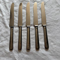 Vintage Wm. Rogers & Son Princess Lady Doris Set of 5 Dinner Knife 9”