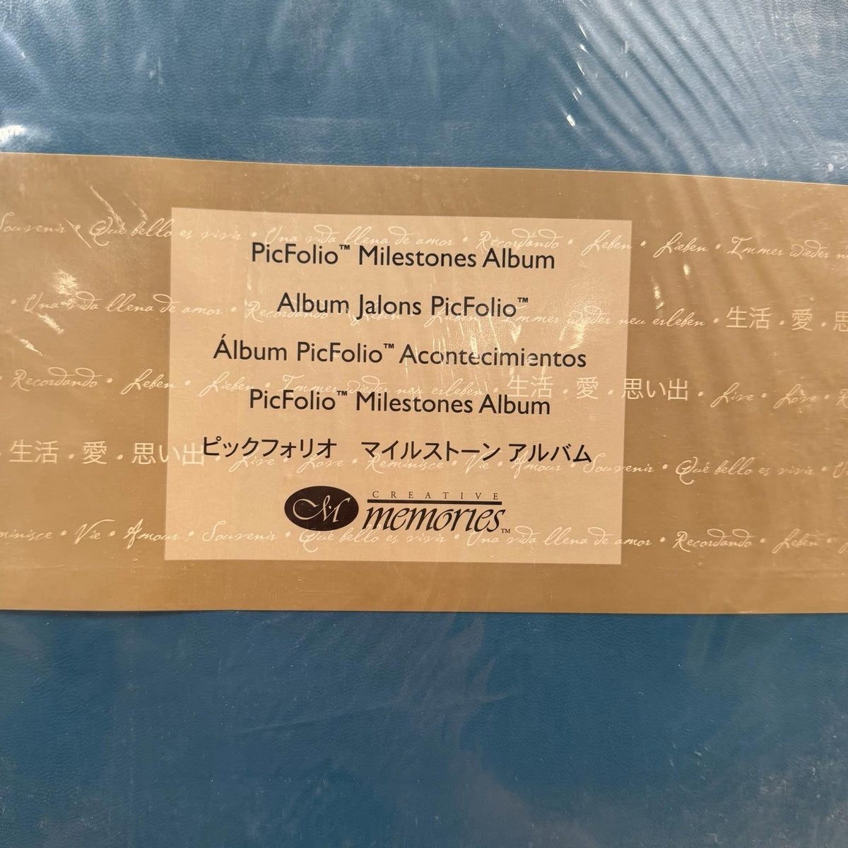 Creative Memories PicFolio Milestones Album Blue - Holds up to 160 Photos