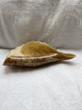 Large Hand Blown Art Glass Conch Shell Bowl Centerpiece - Brown, Possibly Krosno