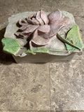 Vintage Hen-feathers Magnolia Cast Resin Trinket Box with Lid