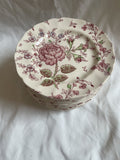 (14) Johnson Brothers Rose Chintz Pink Bread Butter Plates Floral England